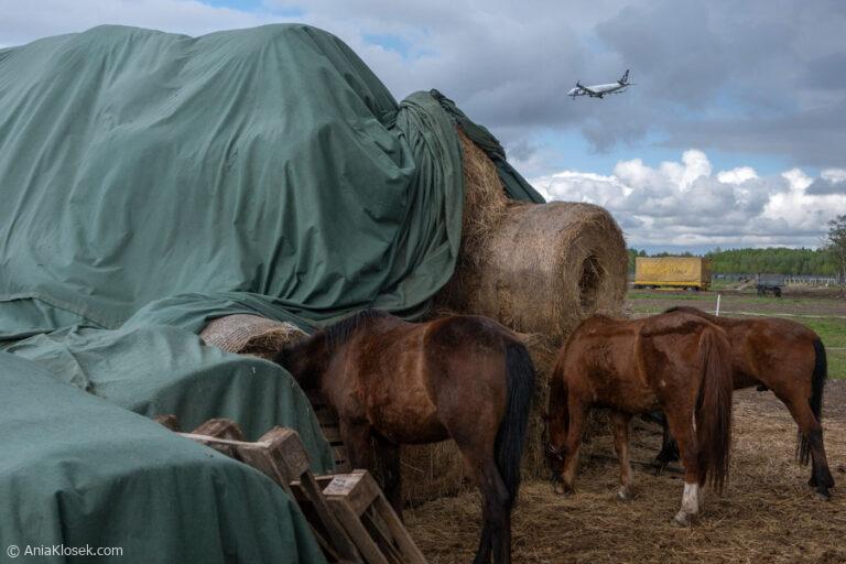 Ania-Klosek-street-photo-017