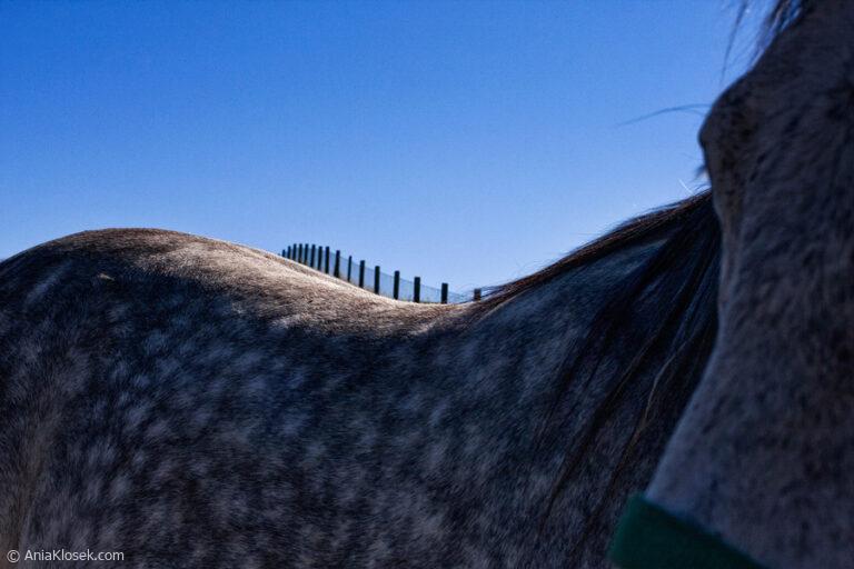 Ania-Klosek-street-photo-020