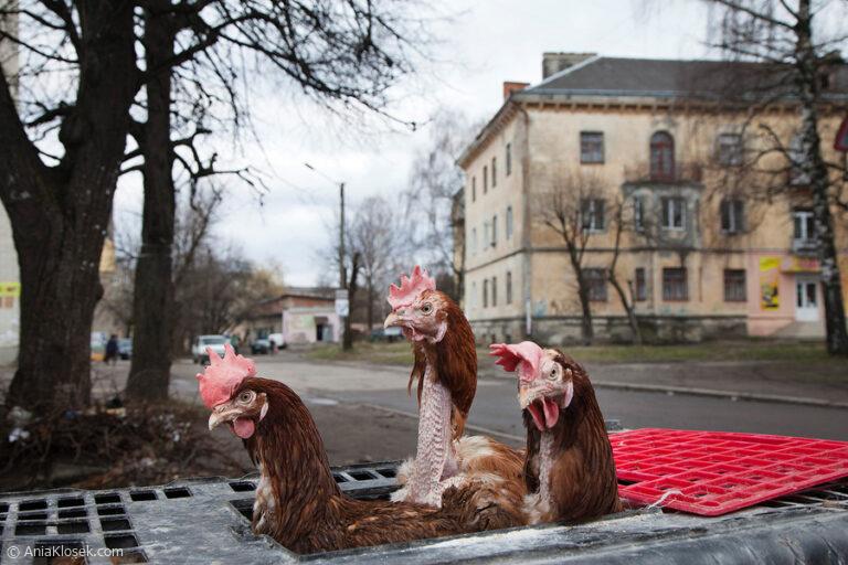 Ania-Klosek-street-photo-037